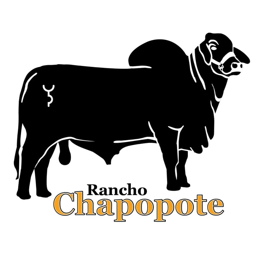 Logotipo de organización 15
